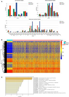 A Novel Promoter CpG-Based Signature for Long-Term Survival Prediction of Breast Cancer Patients